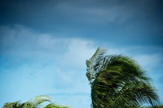 Justin's Forecast: Windy Advisory Today and Tonight, Still Windy Tomorrow