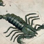 The 'Scorpio Secret' to Winning Big: Why This Sign Has the Best Poker Face in Nevada