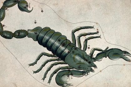 The 'Scorpio Secret' to Winning Big: Why This Sign Has the Best Poker Face in Nevada