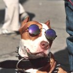 10 Inventions That Started as Jokes - But Still Exist Today