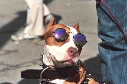 10 Inventions That Started as Jokes - But Still Exist Today