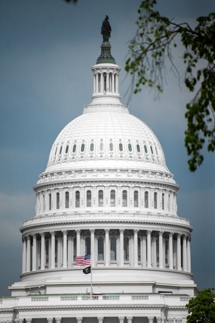 EDITORIAL: Nevada senators do the right thing on Israeli arms vote