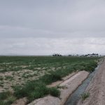 Valley crops and farmers feeling the impacts of the latest wet weather