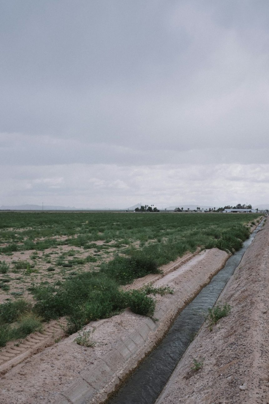 Valley crops and farmers feeling the impacts of the latest wet weather