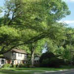 6 Safest Zip Codes for Families Who Want a 'Small Town' Feel in Vegas