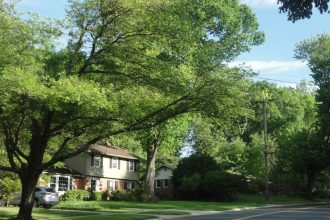 6 Safest Zip Codes for Families Who Want a 'Small Town' Feel in Vegas