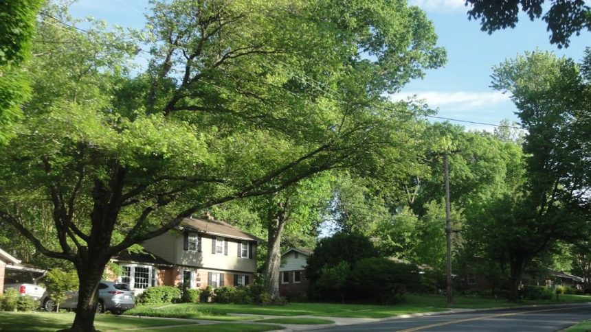 6 Safest Zip Codes for Families Who Want a 'Small Town' Feel in Vegas