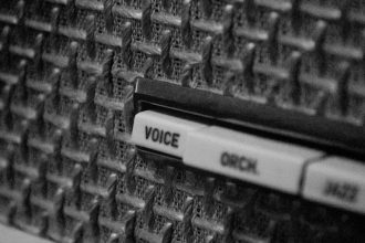 Why Some 5 Voices Are Instantly Recognizable - Even Whispering