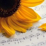 Why Some 4 Songs Just Sound Like Summer