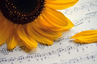 Why Some 4 Songs Just Sound Like Summer