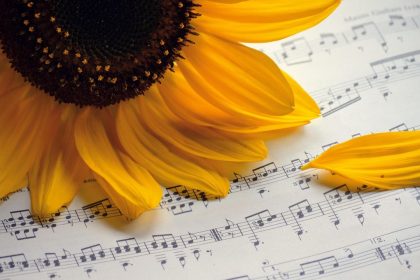 Why Some 4 Songs Just Sound Like Summer