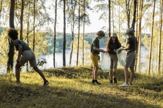 A $40-million project will clean MacArthur Lake. Will it help fix the park?