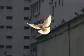 If You're One of These Zodiac Signs, May Will Bring You Peace