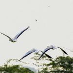 7 Books With No Chapters - and Why That Works