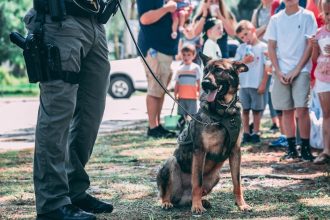 K-9 bites burglary suspect in Burbank, police say