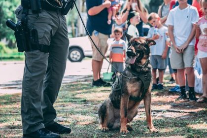 K-9 bites burglary suspect in Burbank, police say