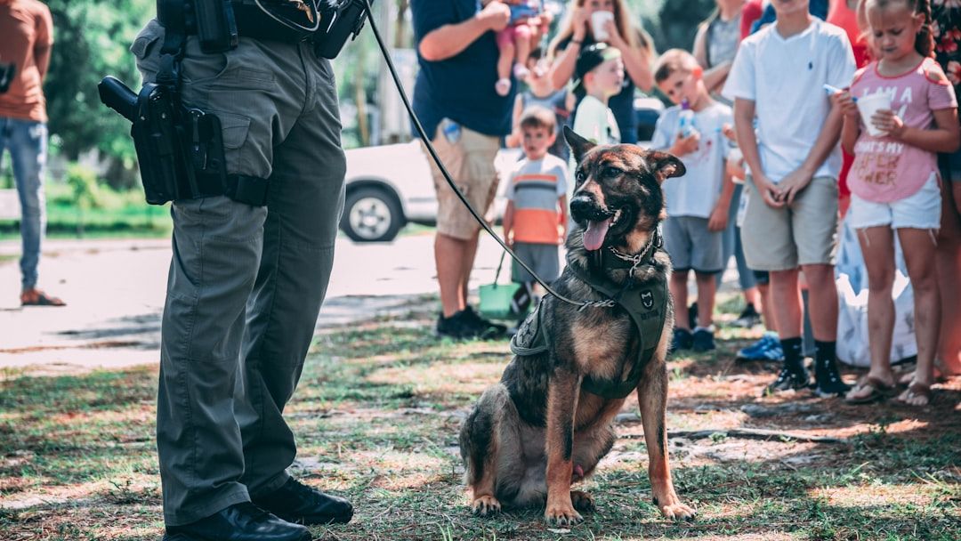 K-9 bites burglary suspect in Burbank, police say