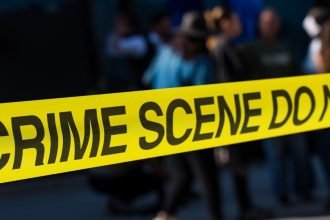 'It's a head!': Retired teacher's son found trying to flush pieces of his mother down the toilet, police say