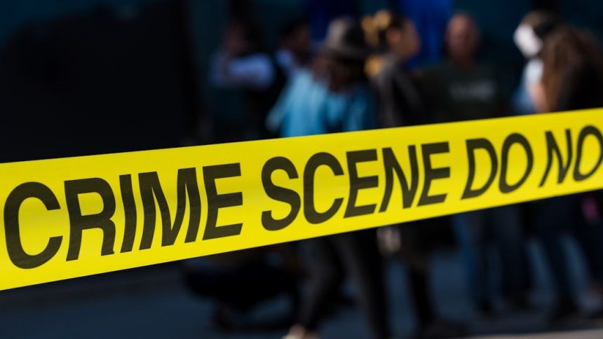 'It's a head!': Retired teacher's son found trying to flush pieces of his mother down the toilet, police say