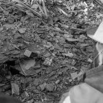 3.4-magnitude earthquake rattles Loma Linda area, USGS says