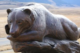 Community invited to name newly beloved bear statue in Merced County