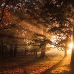 Changing Sunlight, Weather & Climate