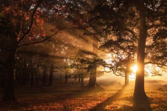 Changing Sunlight, Weather & Climate