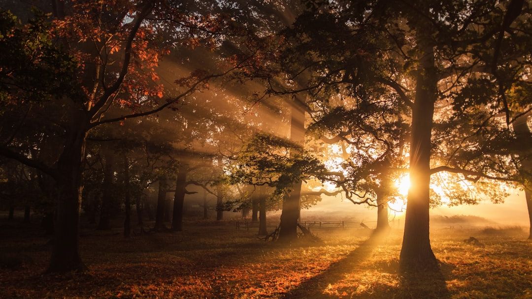 Changing Sunlight, Weather & Climate