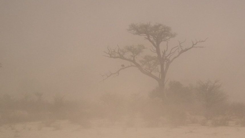When Giants Rise: Exploring the Radiative Effect of Super-Coarse Dust