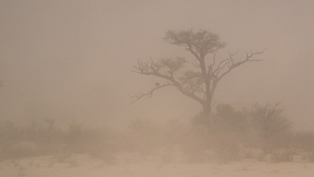 When Giants Rise: Exploring the Radiative Effect of Super-Coarse Dust