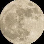 The Scorpio Full Moon Spices Interactions—From Bedroom to Boardroom—This May