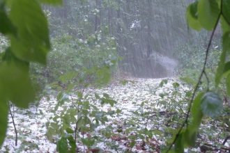 Thunderstorms, hail to hit the Netherlands on Saturday afternoon