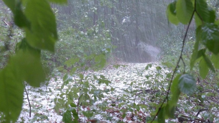 Thunderstorms, hail to hit the Netherlands on Saturday afternoon