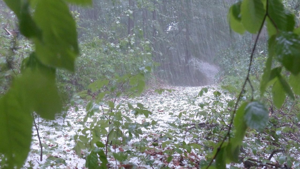 Thunderstorms, hail to hit the Netherlands on Saturday afternoon