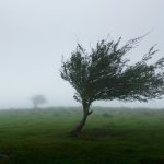 Breezy Sunday ahead!