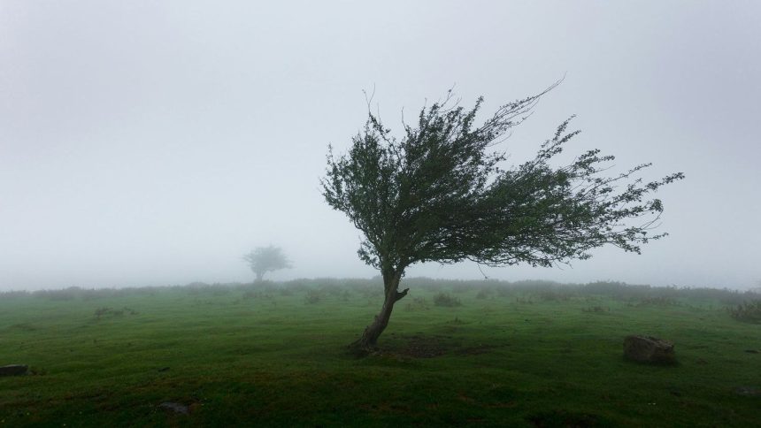 Breezy Sunday ahead!