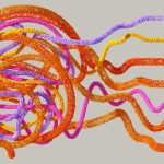 The Dopamine Loop: Why the Vegas Environment Rewires Our Reward Systems