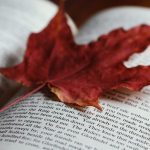10 Novels That Only Make Sense the Second Time Around