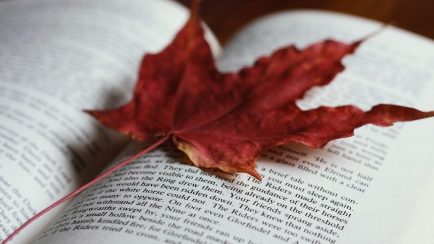 10 Novels That Only Make Sense the Second Time Around