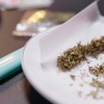 Think microdosing is about mushrooms and LSD? New research says otherwise