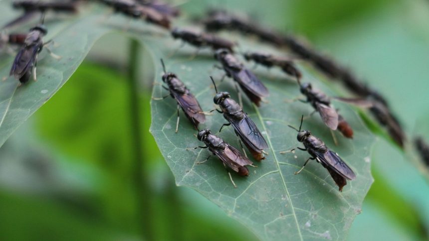 Netflix’s ‘Lord of the Flies’ is a harrowing descent into horror. The cast had a ball