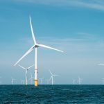 Fact brief - Were the 2022 whale deaths off the US East Coast caused by offshore wind development?