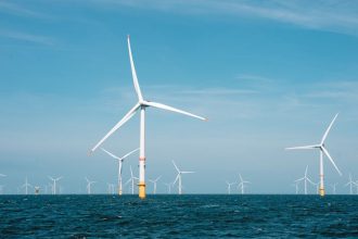 Fact brief - Were the 2022 whale deaths off the US East Coast caused by offshore wind development?