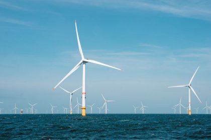 Fact brief - Were the 2022 whale deaths off the US East Coast caused by offshore wind development?