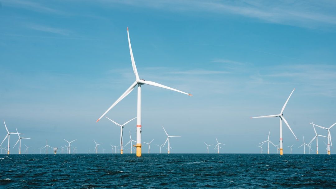 Fact brief - Were the 2022 whale deaths off the US East Coast caused by offshore wind development?