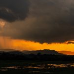 Thunderstorm alert across Odisha for a week; Orange warning issued for multiple districts
