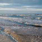 Hurricane Season Is Approaching. Who Needs Flood Insurance in Florida?