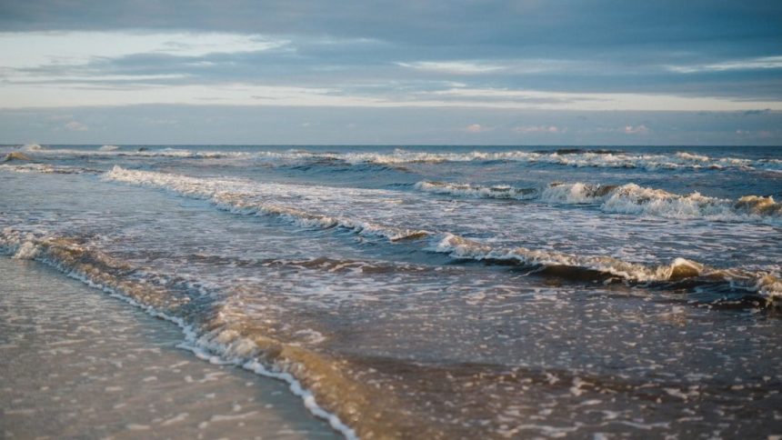 Hurricane Season Is Approaching. Who Needs Flood Insurance in Florida?