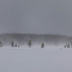Heavy Snow Warning in Colorado, Wyoming as 30 Inches To Hit: 'Hazardous'