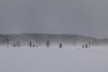 Heavy Snow Warning in Colorado, Wyoming as 30 Inches To Hit: 'Hazardous'